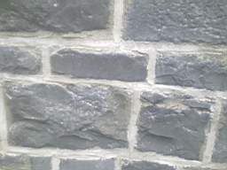 millstreet 10310.jpg
